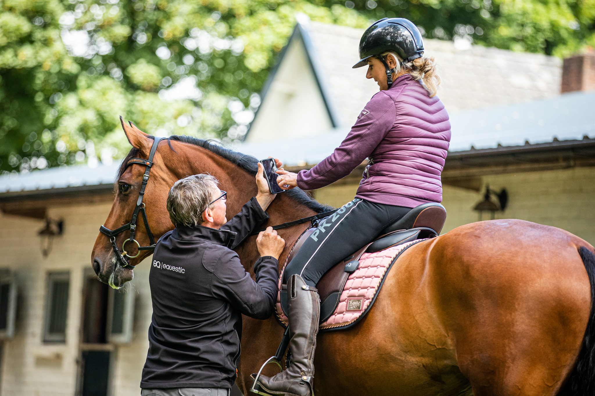 Horse riding training - Coach - Equestic