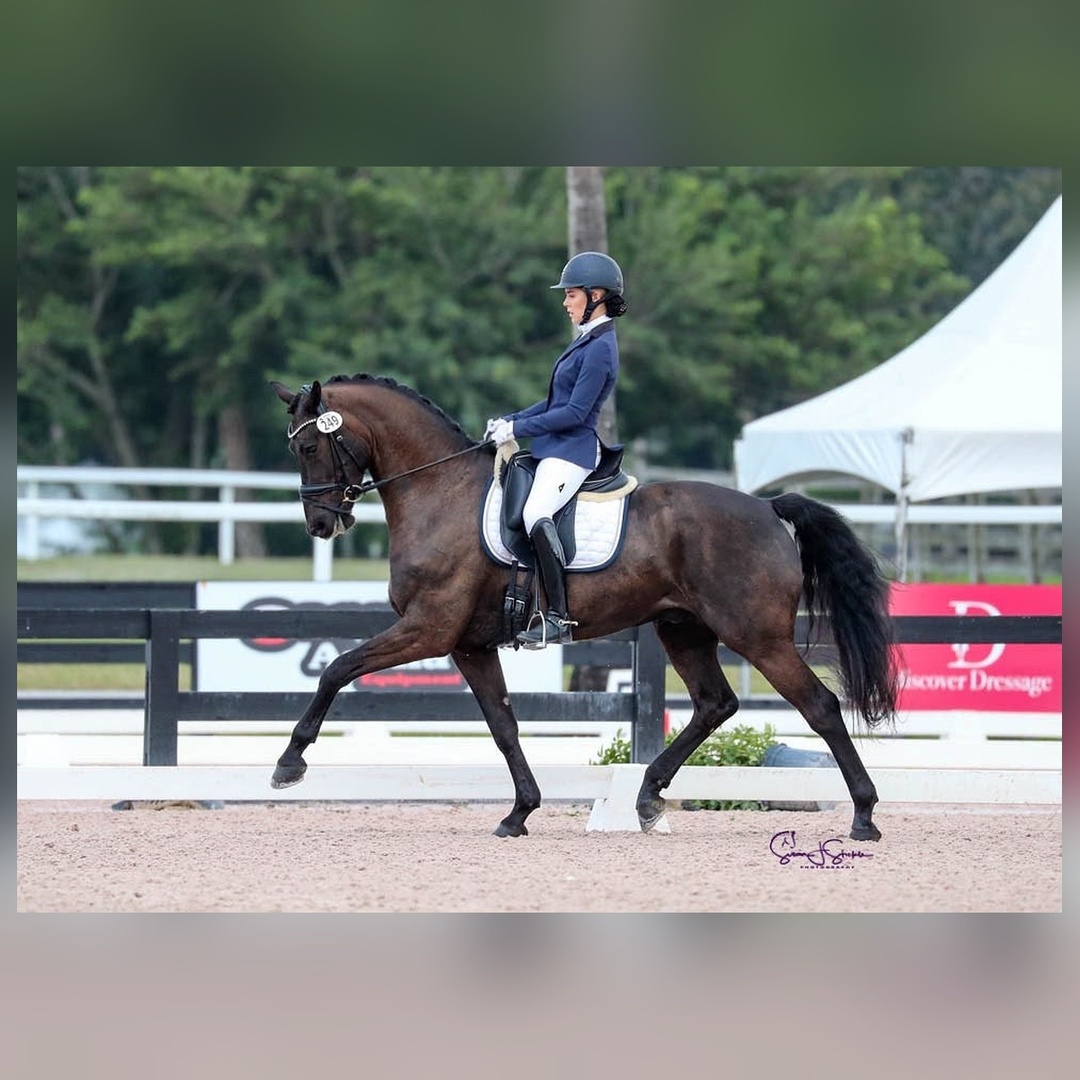 Woman in equestrian outfit on horse