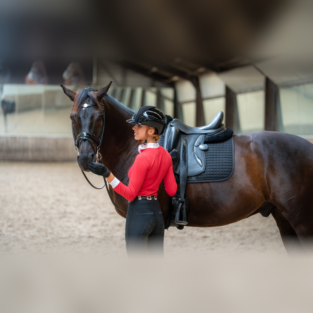 Woman and horse in an arena